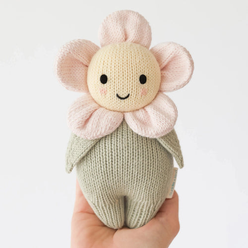 Baby Daisy | Blush Pink