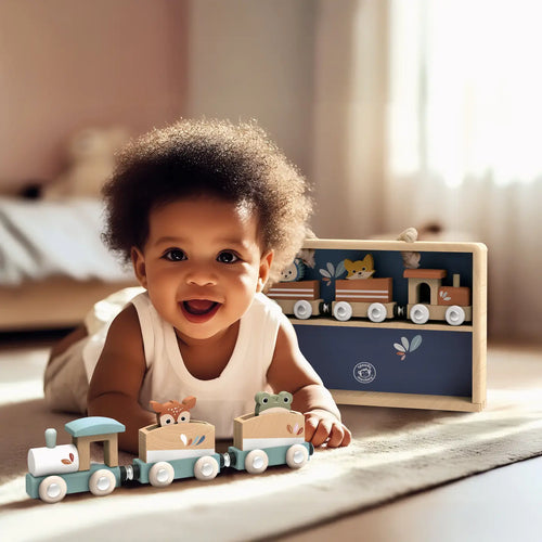 Train Set
