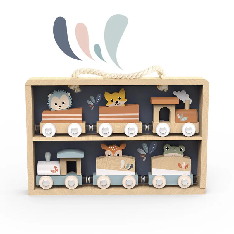 Train Set