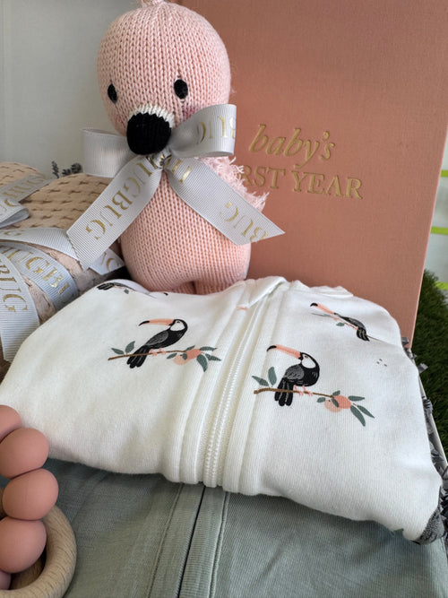 Original Flamingo First Years Set | Girl