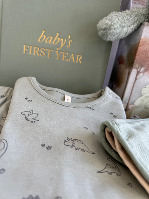 Dinos First Year Set | Boy
