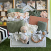 Medium Baby Bird set | Girl
