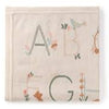 Alphabet Knit Blanket