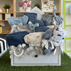 Medium Blue Dino Gift Set