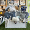 Medium Cloud Lovey Set | Boy