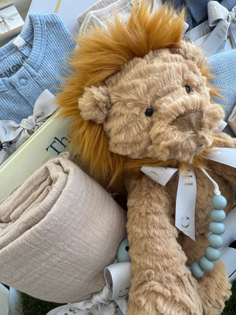 Medium The Very Brave Lion Set