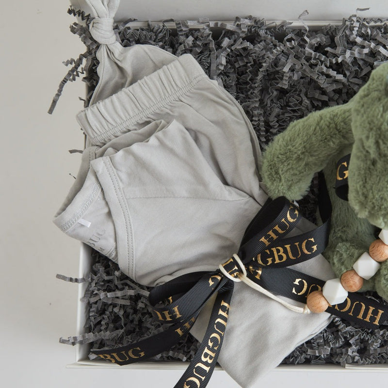 Snuggle With Boyd Dino Baby Gift Box