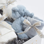 Hugable Elephant Essentials Baby Gift Box